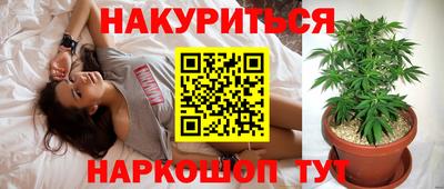 мяу мяу мука Новозыбков